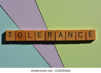 Tolerance Word Wooden Alphabet Letters Isolated Stock Photo 2132243463 ...