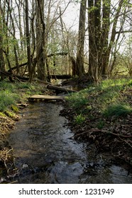 Tom Sawyer Nature Creek