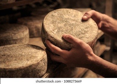 Toma Production, A Tipical Italian Cheese