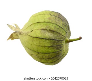 A Tomatillo Fruit Isolated