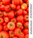 Tomato background. Fresh organic tomatoes on a street farmers market market in London. Heritage heirloom tomatoes. Colourful. Full frame