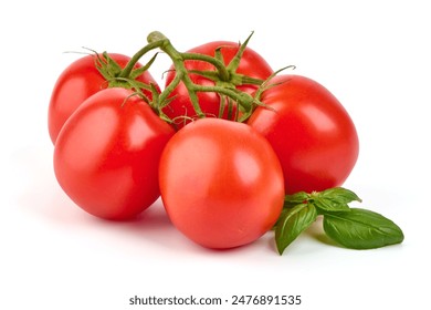 Tomato branch. Ripe fresh tomatoes, close-up, isolated on white background - Powered by Shutterstock