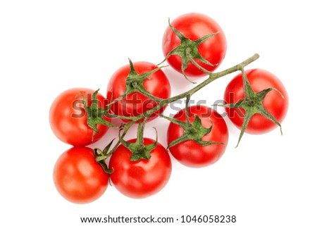 Tomato. Tomato branch. Tomatoes isolated on white.