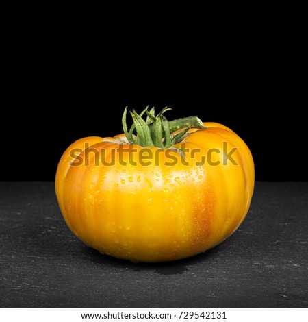Tomato (breed: Hillbilly) with water droplets on black slate with dark background (solanum lycopersicum)