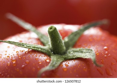 Tomato close up