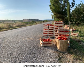 Tomato Crate Near The Lapseki Road At Sunny Summer Day Canakkale Turkey