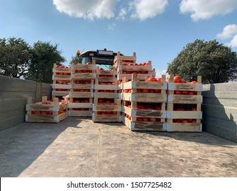 Tomato Crate Near The Lapseki Road At Sunny Summer Day Canakkale Turkey