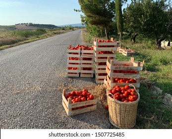 Tomato Crate Near The Lapseki Road At Sunny Summer Day Canakkale Turkey