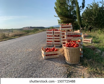 Tomato Crate Near The Lapseki Road At Sunny Summer Day Canakkale Turkey