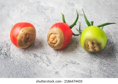 Tomato Diseases - Blossom End Rot Caused By Lack Of Calcium 