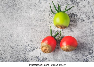 Tomato Diseases - Blossom End Rot Caused By Lack Of Calcium 