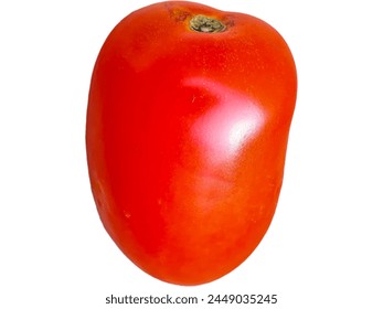 The tomato fruit is globular or ovoid. The outer skin is a thin and fleshy tissue that comprises the remainder of the fruit wall as well as the placenta.