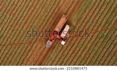 
Tomato harvester working in the tomato field with a truck, Brazil