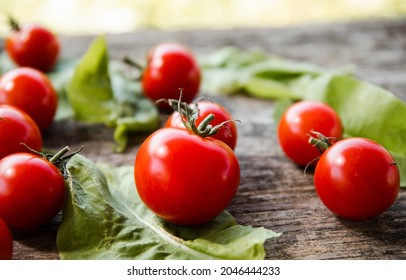 Tomato Isolate. Tomatoes Top View, Side View.