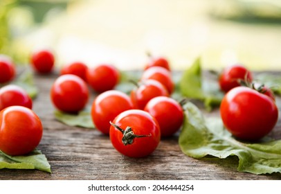 Tomato Isolate. Tomatoes Top View, Side View.