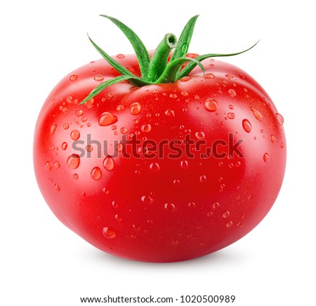 Tomato isolated. Tomato with drops. With clipping path.