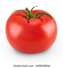 Tomato isolated on white background. High resolution macro photo of fresh tomato plant. Side view. Full depth of field side view.