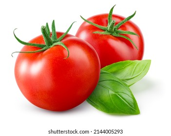 Tomato isolated. Tomato on white background. Two tomatoes with green basil leaves. Clipping path. Full depth of field.