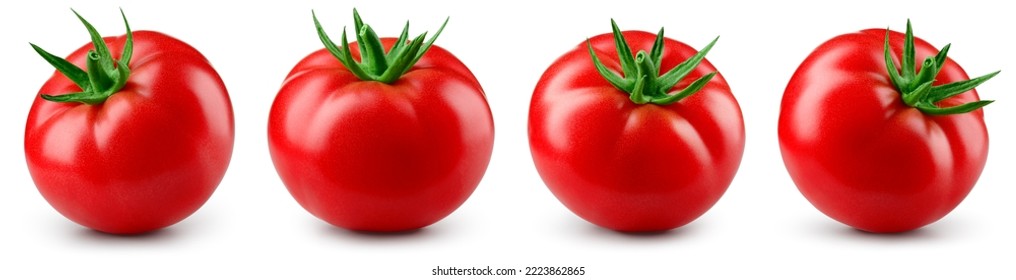 Tomate aislado. El tomate se puso sobre fondo blanco. Colección de perfecta vista lateral de tomates retocados. Con ruta de recorte. Profundidad total del campo.