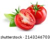 tomato basil isolated