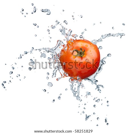 Tomato in spray of water. Juicy tomato with splash on white background