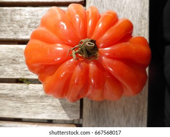 tomato table