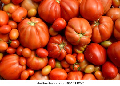 Tomato is a vegetable that is widely used in the Mediterranean region. Sauce for spaghetti, pizza, good as well as fruit juice