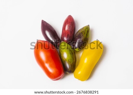 Tomatoes of different colors and varieties in the shape of a plum on a white background. Collection of different tomatoes - red, yellow and purple. Harvest in autumn.