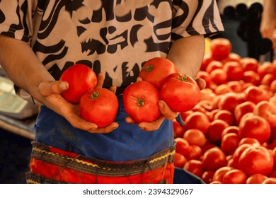 Tomatoes in the hands of the seller at the market - Shutterstock ID 2394329067