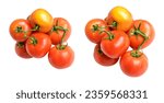 Tomatoes isolated with clipping path, no shadow in white background, red tomatoes bunch