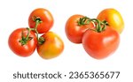 Tomatoes isolated with clipping path, no shadow in white background, red tomatoes bunch