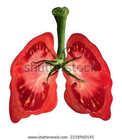 Tomatoes And Lung Health as lycopene and tomato juice dietary healthy food to fight pulmonary disease and COPD as a medicinal diet and nutrition for lung function with carotenoid and beta-carotene.
