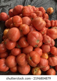 Tomatoes Is For Making Stew, Sauce And Pasta In Nigeria