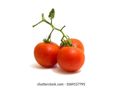 Tomatoes on a white backdrop