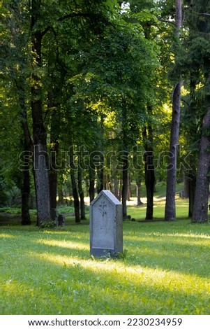 Tombstone in the Forest  Soft sunlight falling on the tombstones among the grass. Abandoned cemetery in Lithuania during World War.