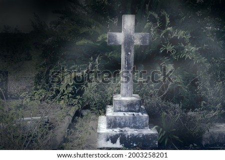 Tombstone in rundown graveyard with tropical plants and vines - cross grave stone