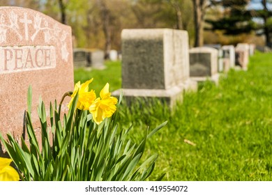 Tombstones In Montreal Cemetary With Yellow Jonquils In Springtime With Peace Carved On A Headstone