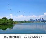 Tommy Thomson Park on Lake Ontario is a bird and nature sanctuary, with the downtown Toronto skyline visible in the far distance