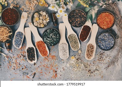 Toned Image Of Medicinal Flowers And Herbs Background, Selective Focus
