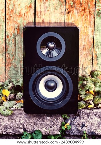 Toned Photo of Loudspeaker Box on the Old Weathered Wooden Planks Background outdoor