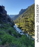 Tongue River Canyon at Sunrise