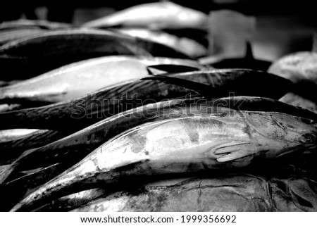 Image, Stock Photo show teeth Food Fish