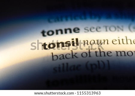 tonsil word in a dictionary. tonsil concept.
