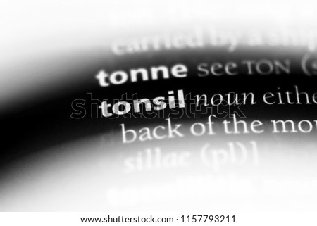 tonsil word in a dictionary. tonsil concept.