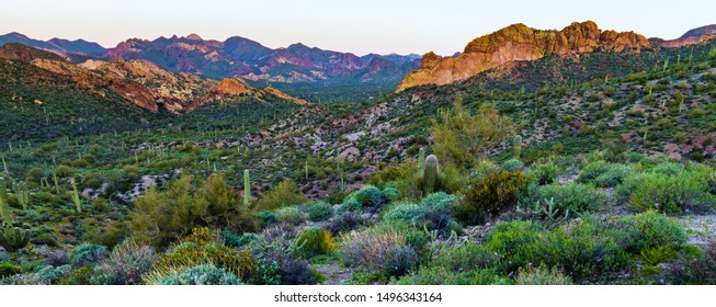 Tonto National Forest At Sunrise