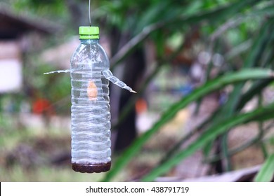 Tool for insect trap