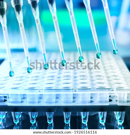 Tools for DNA amplification, automatic loader and 96-well plate for setting up reactions