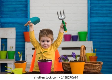 Tools For Gardening. Garden Equipment. Little Gardener. Spade To Plant Flowers In Pots. Happy Child.