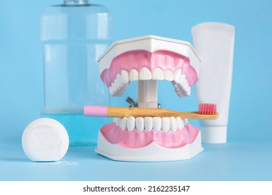 Tooth Clear In Jaw With Bamboo Toothbrush, Floss, Paste, Rinse In Blue Background. Health Education, Professional Oral Hygiene. Teeth Cleaning. Caries Prevention. Dental Care Kid. Dentistry Day