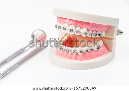 tooth model with metal wire dental braces and mirror dental equipment isolated on white background.